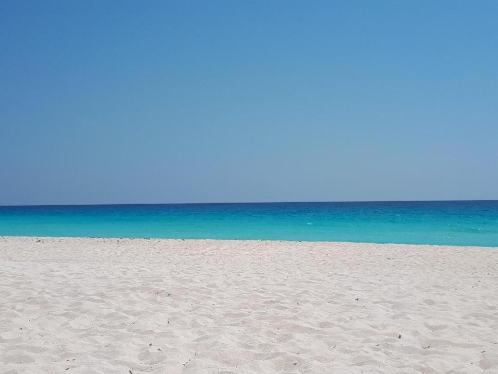 Departamentos Al Lado Del Mar En Zona Hotelera Канкун Екстериор снимка
